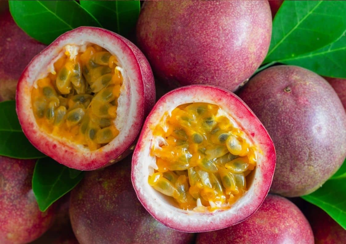 ÇARKIFELEK (Passiflora)