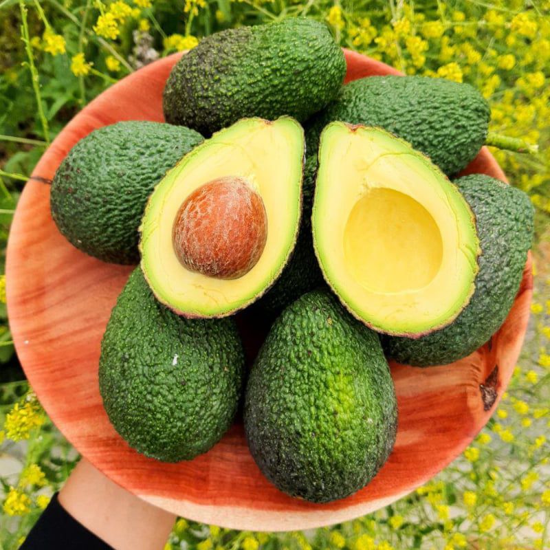 AVOKADO 1 ADET