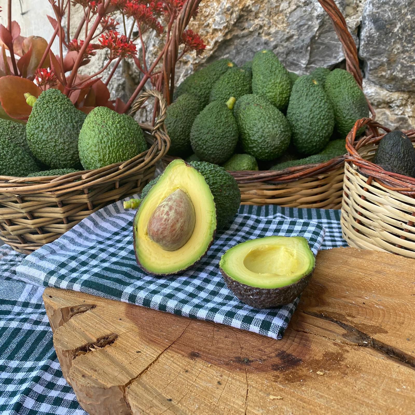 AVOKADO 1 ADET